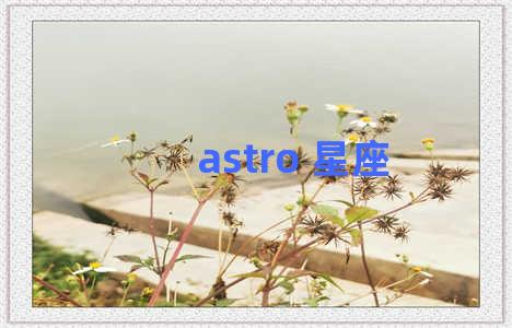 astro 星座